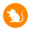 Rats