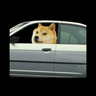 A Gently Used 2001 Honda