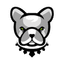 Pitbull