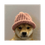 dogwifhat (dogwifhat.io)