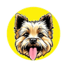 TOTO