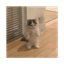 MICHI
