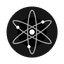 ATOM icon