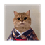 Cat Own Kimono