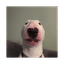 walter