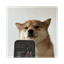 SelfieDogCoin
