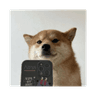 SelfieDogCoin