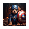 America Dog