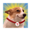 SUNDOG