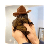 Peanut the Squirrel