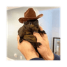#1 Tiktok Squirrel
