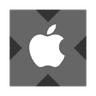Apple xStock