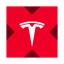Tesla xStock