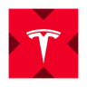 Tesla xStock