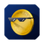 just memecoin