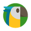 Araracoin