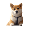 CEO