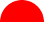 IDR logo