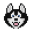 Hosky