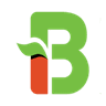 Block Beats Network