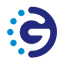 GoChain