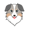 Australian Safe Shepherd