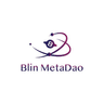 Blin Metaverse