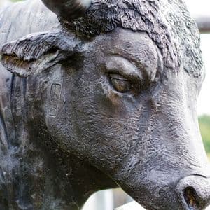 Bitcoin Bull James Wynn Close to Total Liquidation as Losses Near $100M
