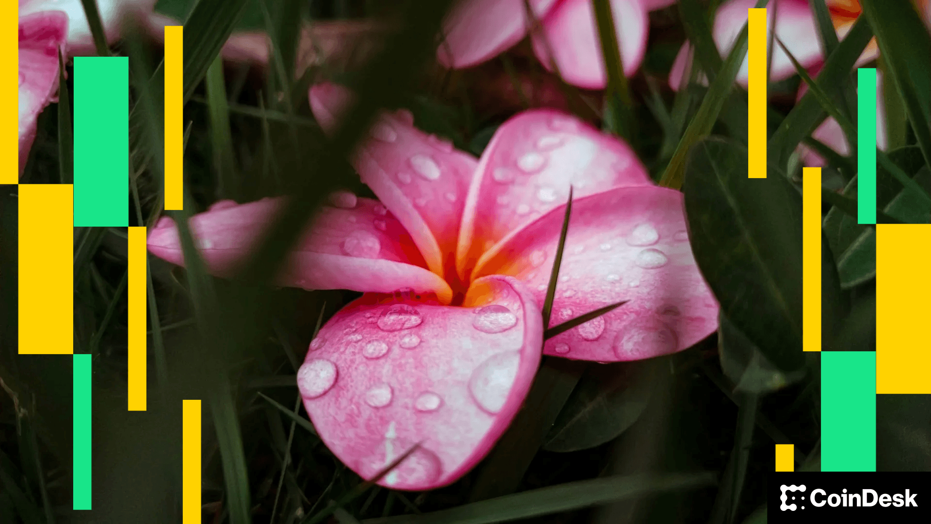 Test alt